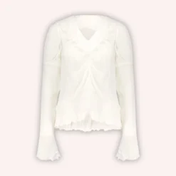 Anna Sui Crinkle Chiffon Blouse